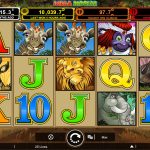 Mega Moolah Casino: A Full Guide to the Popular Online Casino Slot Game