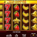 Wild Hot 40 Halloween Slot Game: A Spooky Adventure for Online Gamblers